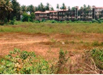 Is Goa Renewable Energy Edu Park a lost cause?