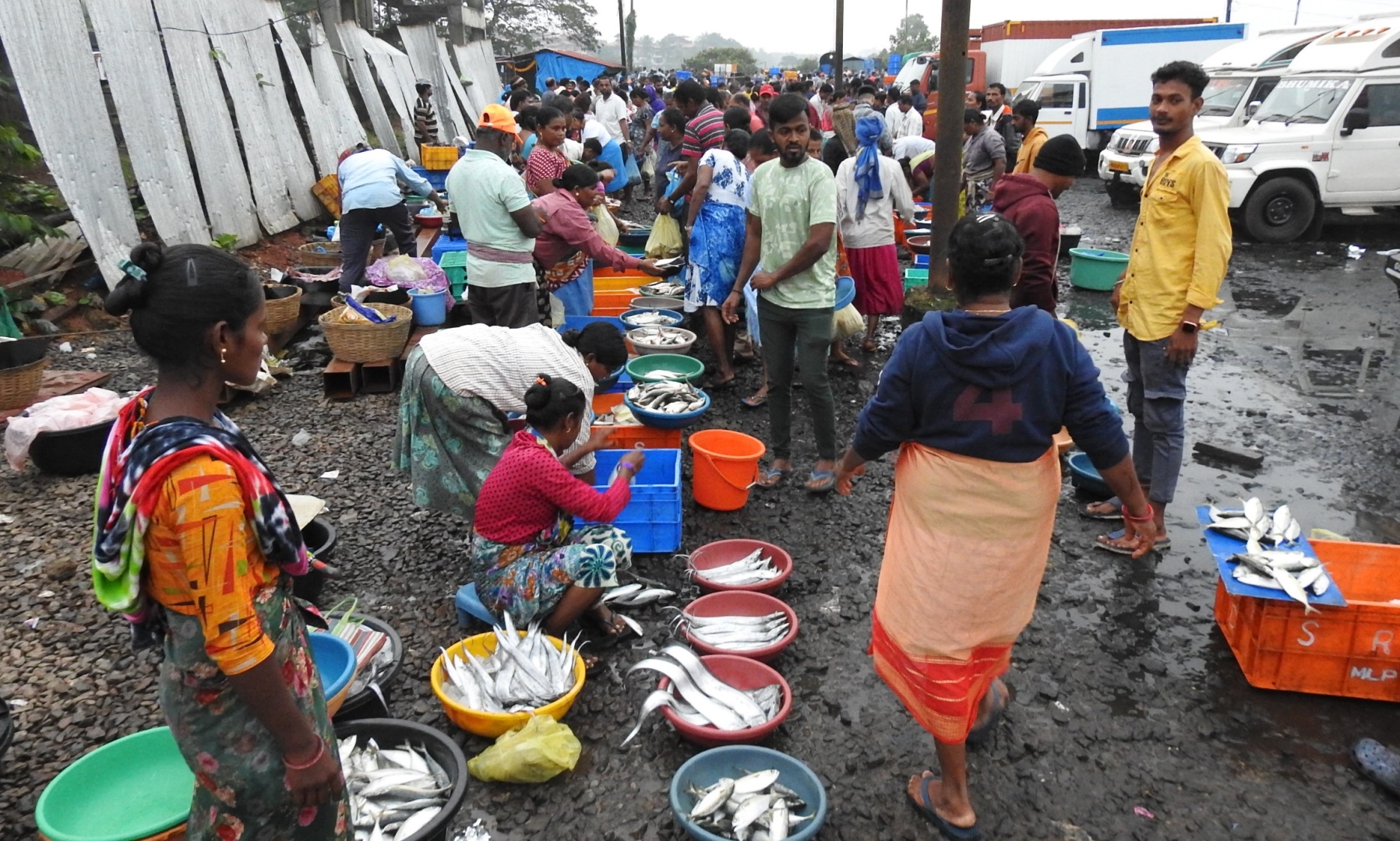 Retail fish sale by migrants inside wholesale market goes unabated