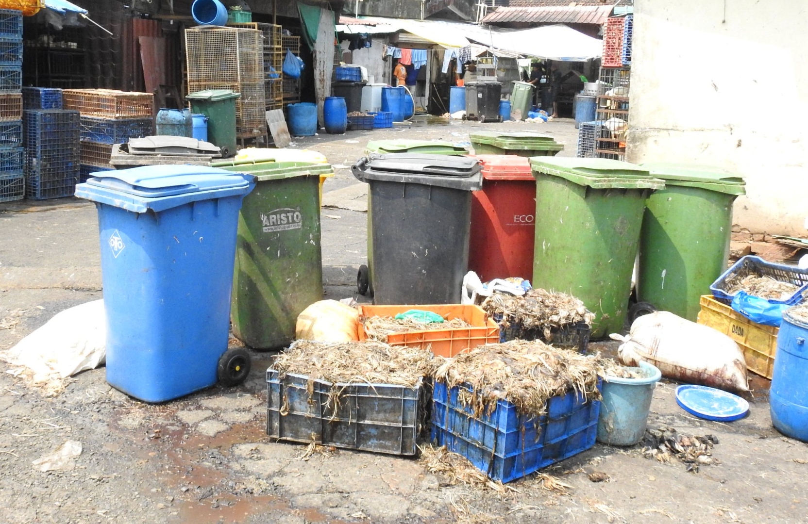The Goan EveryDay Chicken waste raises stink that MMC CO assures to
