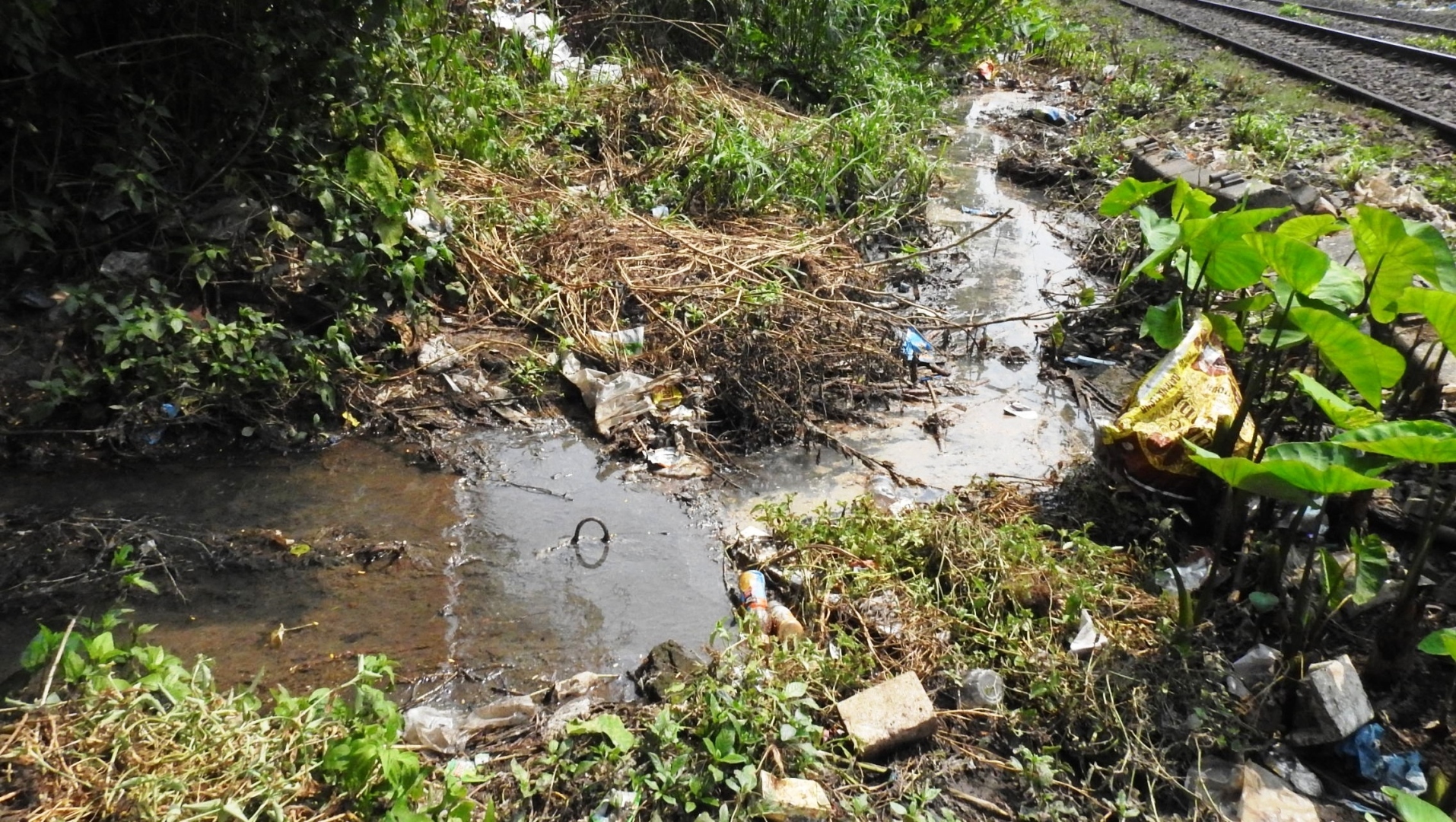 Locals push for channel to drain sewage water