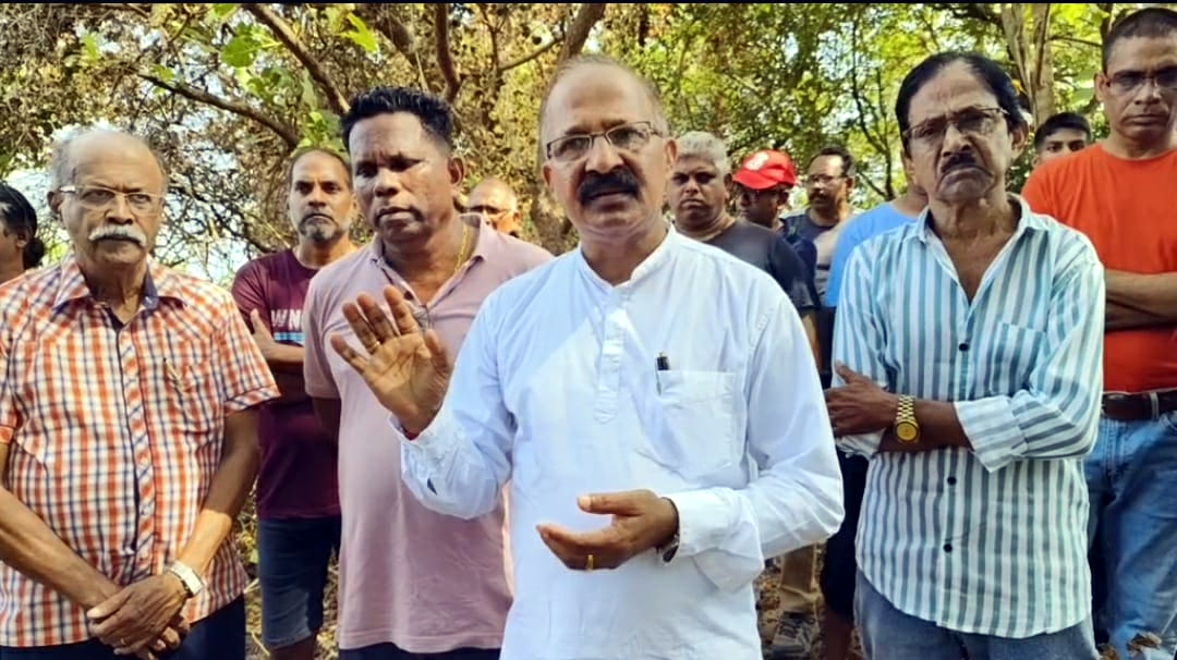 Locals vent ire over rampant tree felling on Sinquerim hill