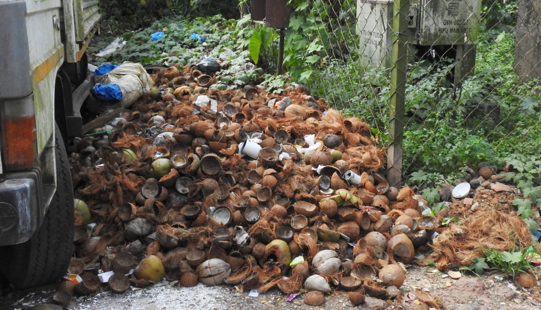 MMC draws flak for ban on tender coconut sale amid calls for better waste management