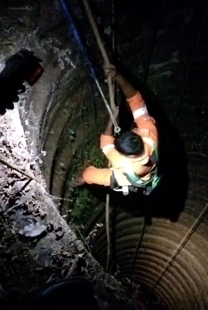 Australian falls in well, pulled   out safely by firefighters' team