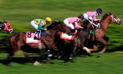 ﻿Elections... not just a 'horse race'