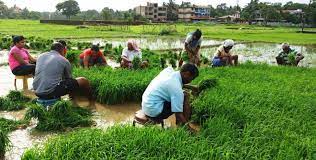 ﻿Goa State Amritkal Agriculture   Policy handed to govt for okay