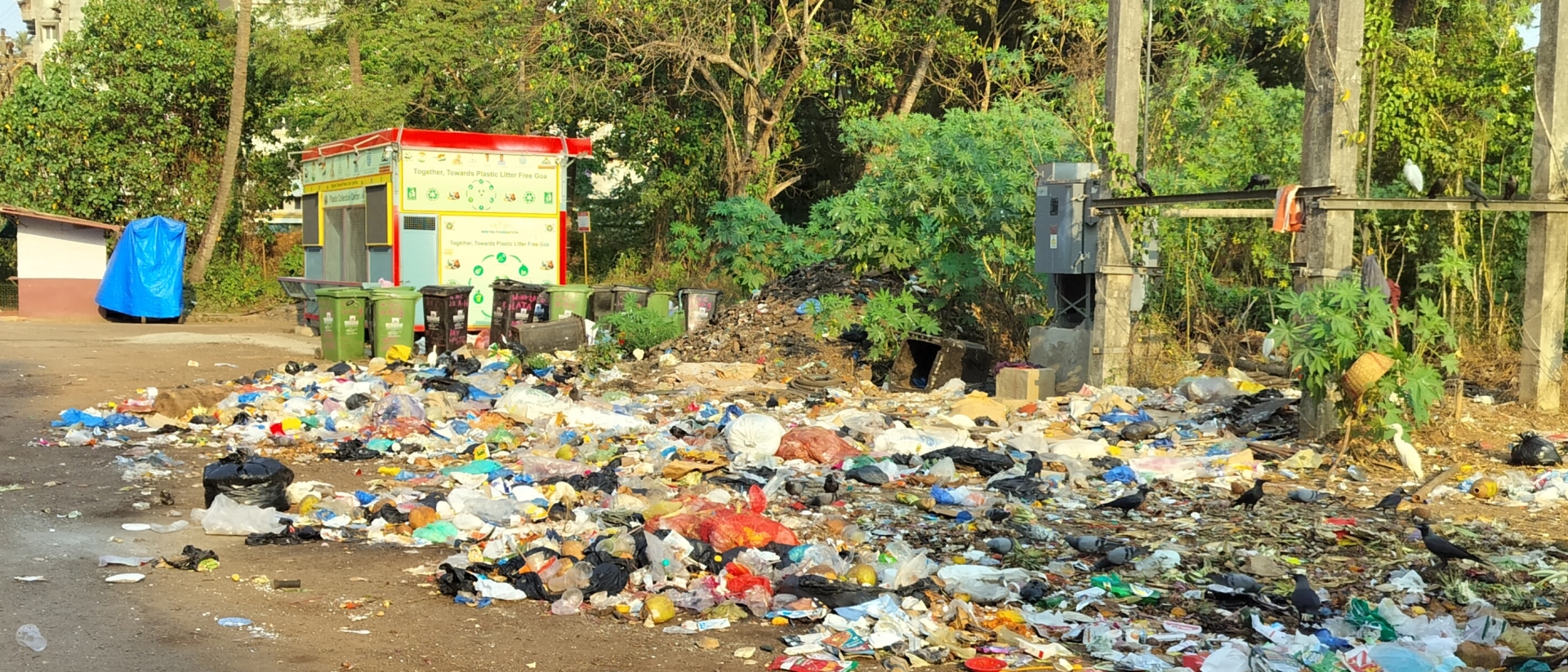 Mapusa civic body mum as   garbage woes choke town