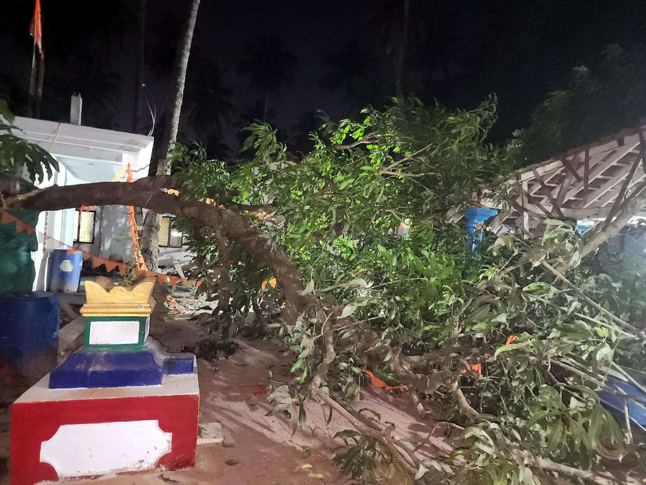 2 injured as tree falls on 2 houses in Chapora