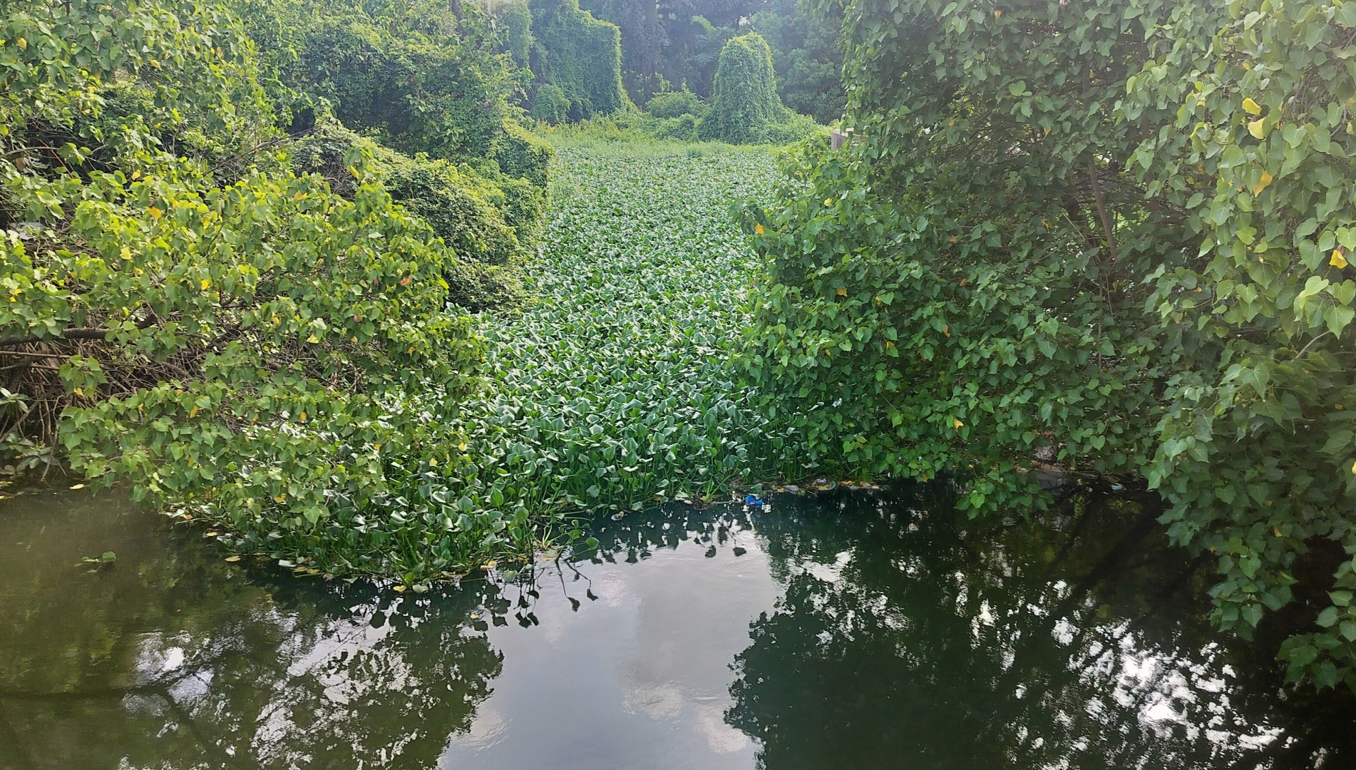 Stalled Mapusa River dredging plans leave Guirim vulnerable