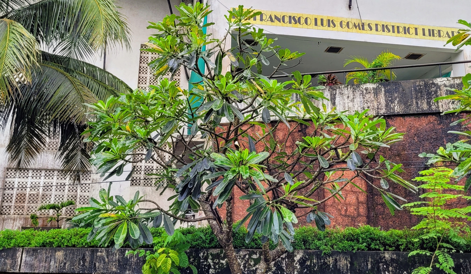 Neglect of prestigious library