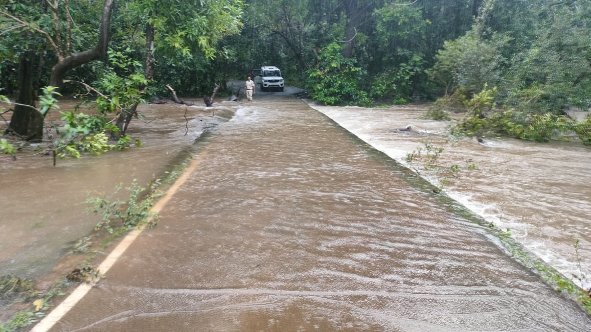 Road submerged in Dabal as Dudhsagar river swells