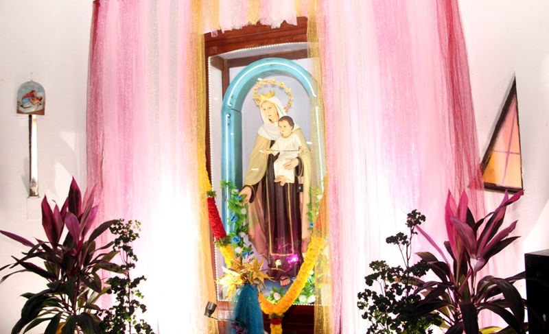 Honouring Our Lady of Mount Carmel, the Brown Scapular