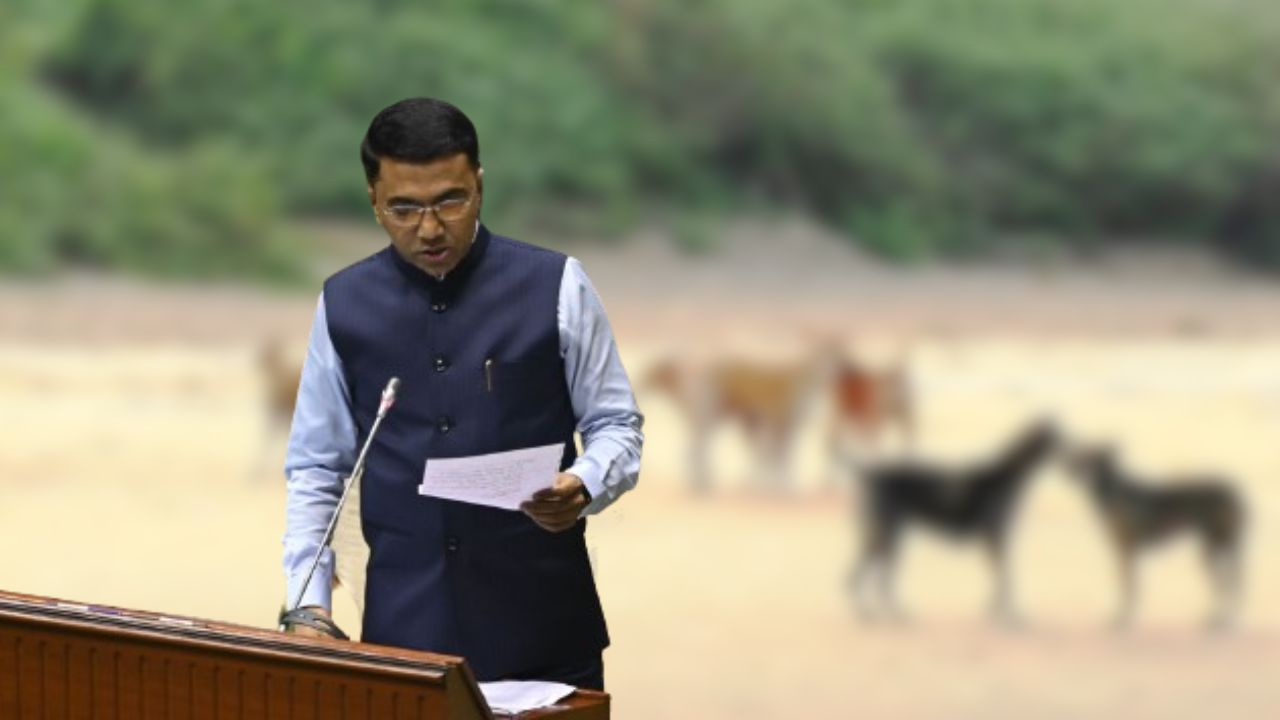 ﻿Policy to tackle stray dog menace soon: CM