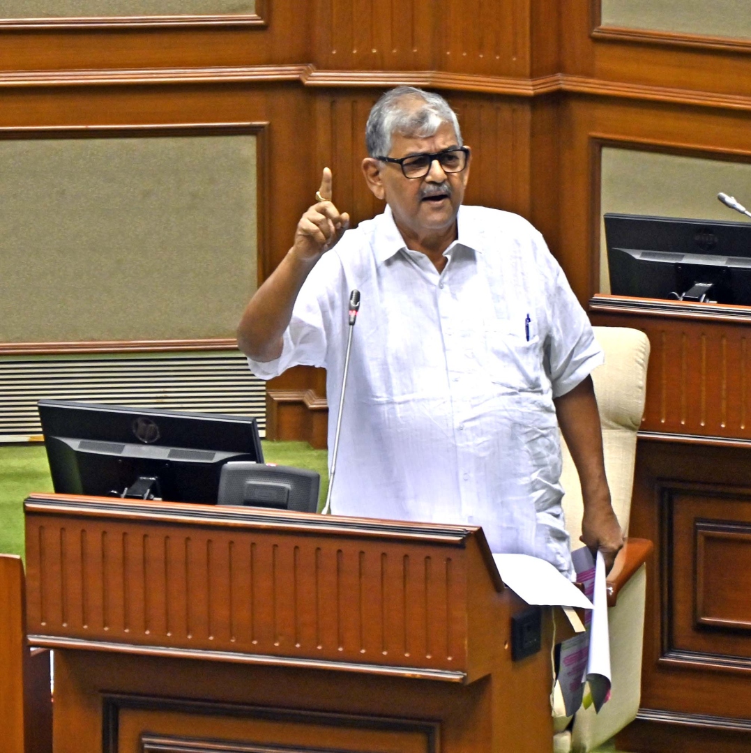 Environmental concerns: Issue on blackening of mangroves in Merces subjudice: Environ Min