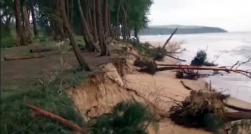 Heavy sand erosion   causes havoc along  Galgibaga coast