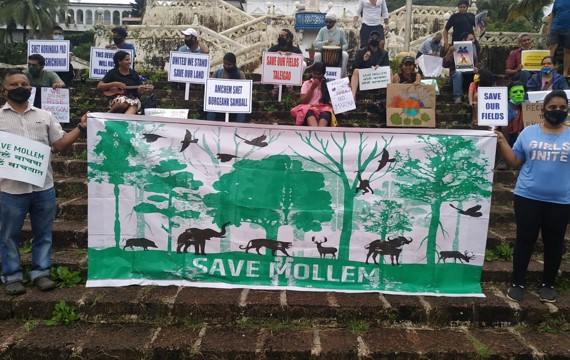 When activism gets mainstreamed in Goa