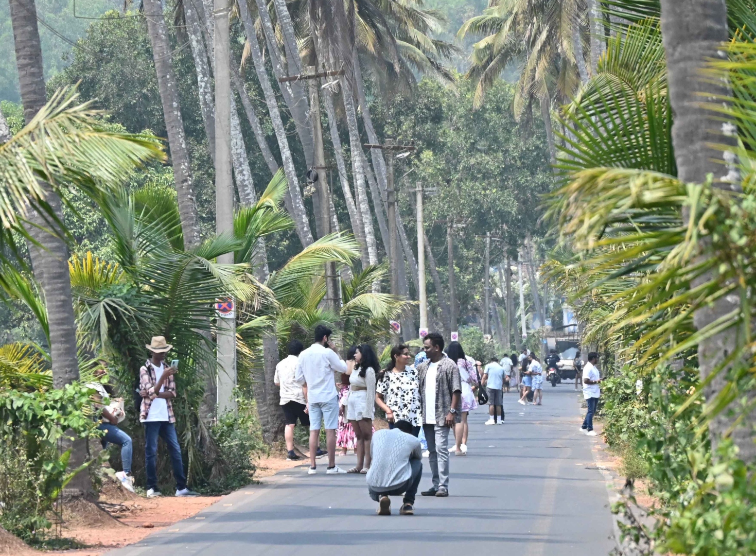 Parra road: From serenity to chaos and locals’ struggle to stay sane