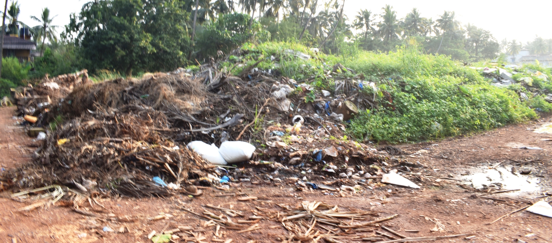 Margao still grappling with disposal   of mixed waste including green waste