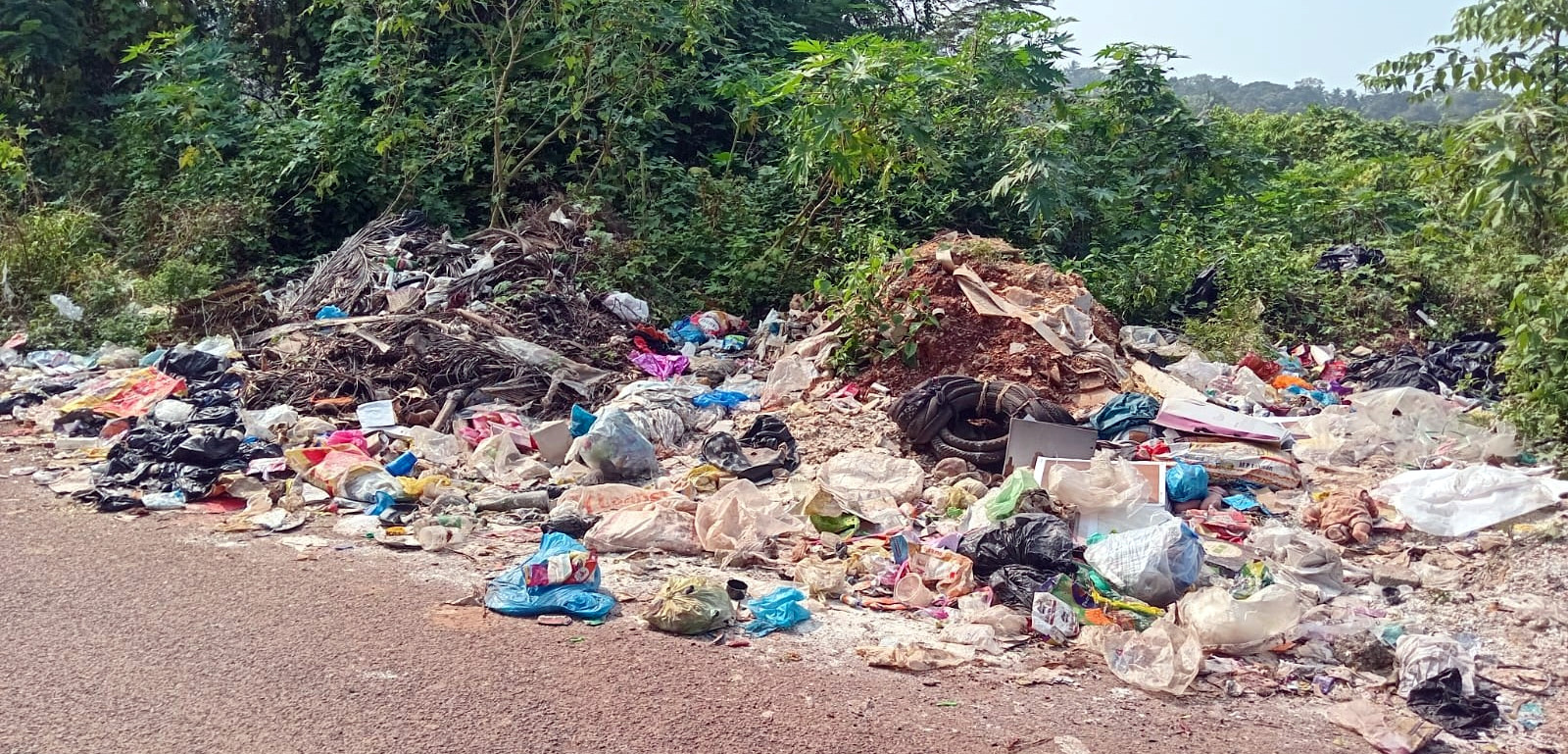 Mapusa struggles with recurring garbage dumps as new black spots emerge