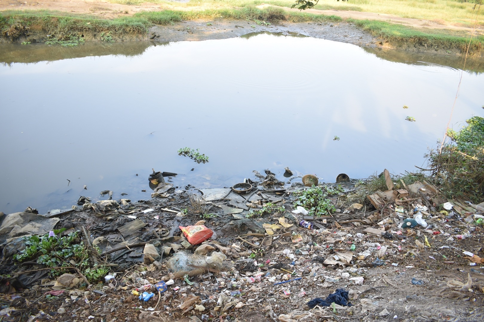 GSPCB report highlights violations by scrapyard
