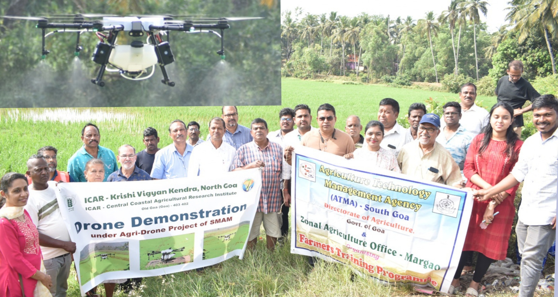 Nuvem farmers use drones to   spray fertilizer on crops