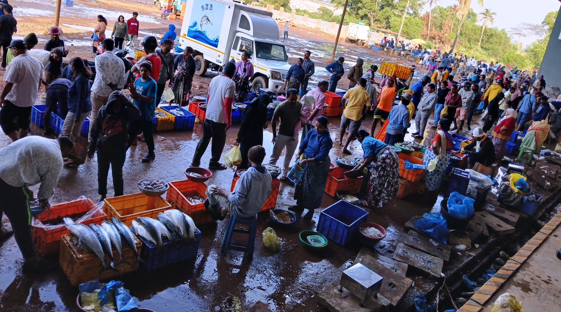 New fish market set for commissioning, but SGPDA in dilemma over ‘action’ against migrant vendors
