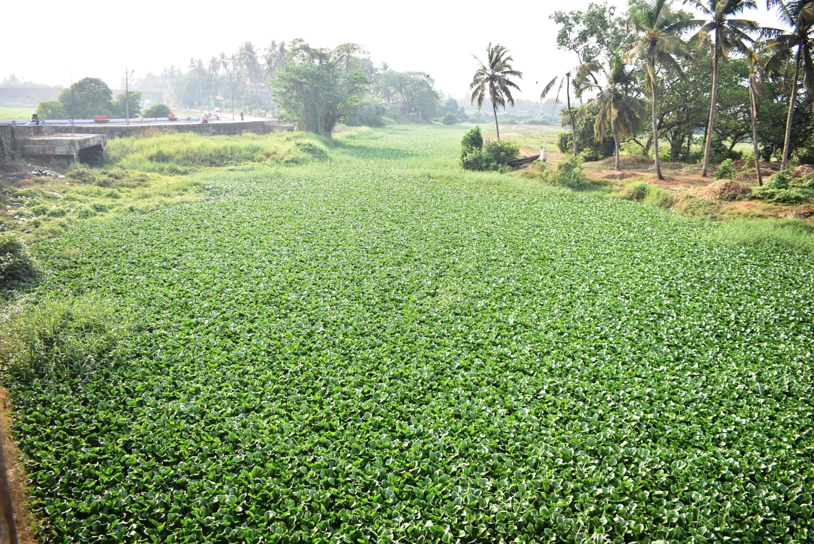 ﻿No plan, no action: Govt drags feet on Sal drainage