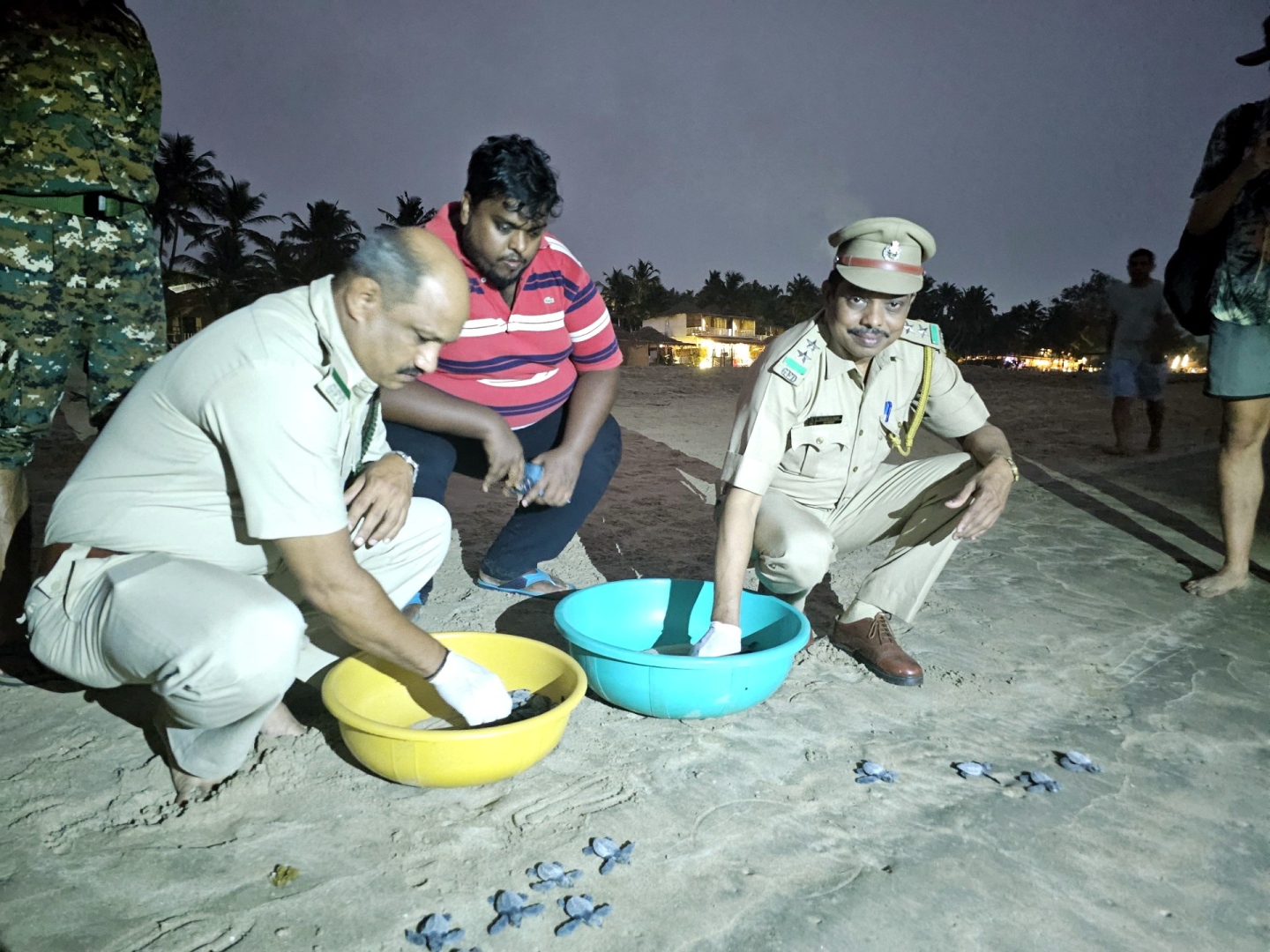 South Goa Marine Range expects better turtle nesting season