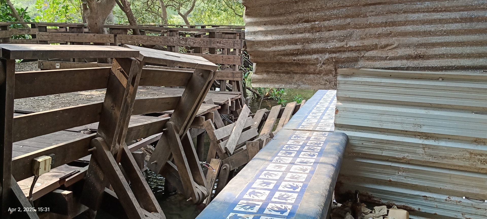 Once a ‘Smart City’ symbol, Panaji’s mangrove boardwalk now in ruins