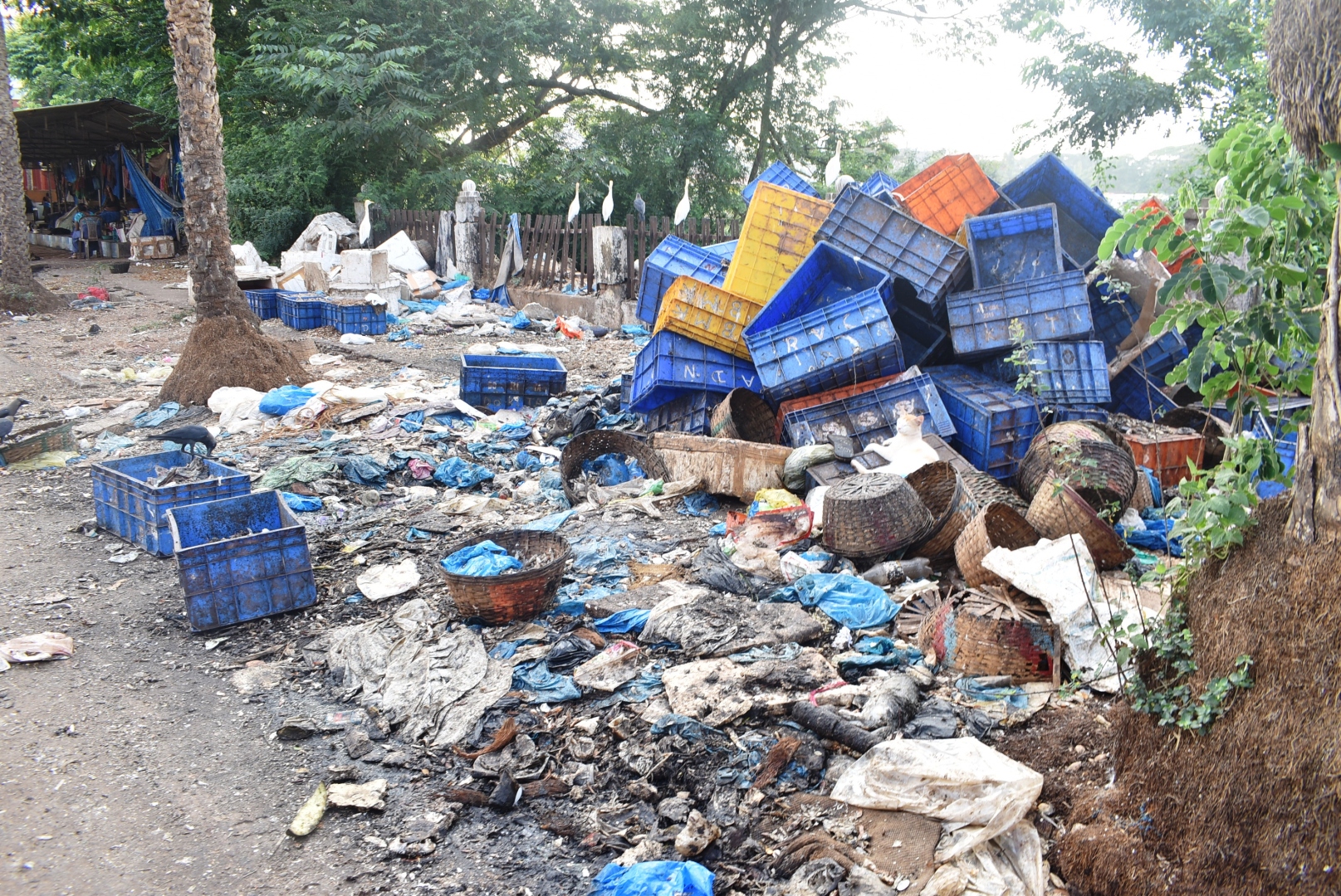 As SGPDA plans inauguration of redeveloped wholesale market…
