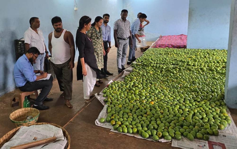 FDA oficials inspect five  godowns storing mangoes