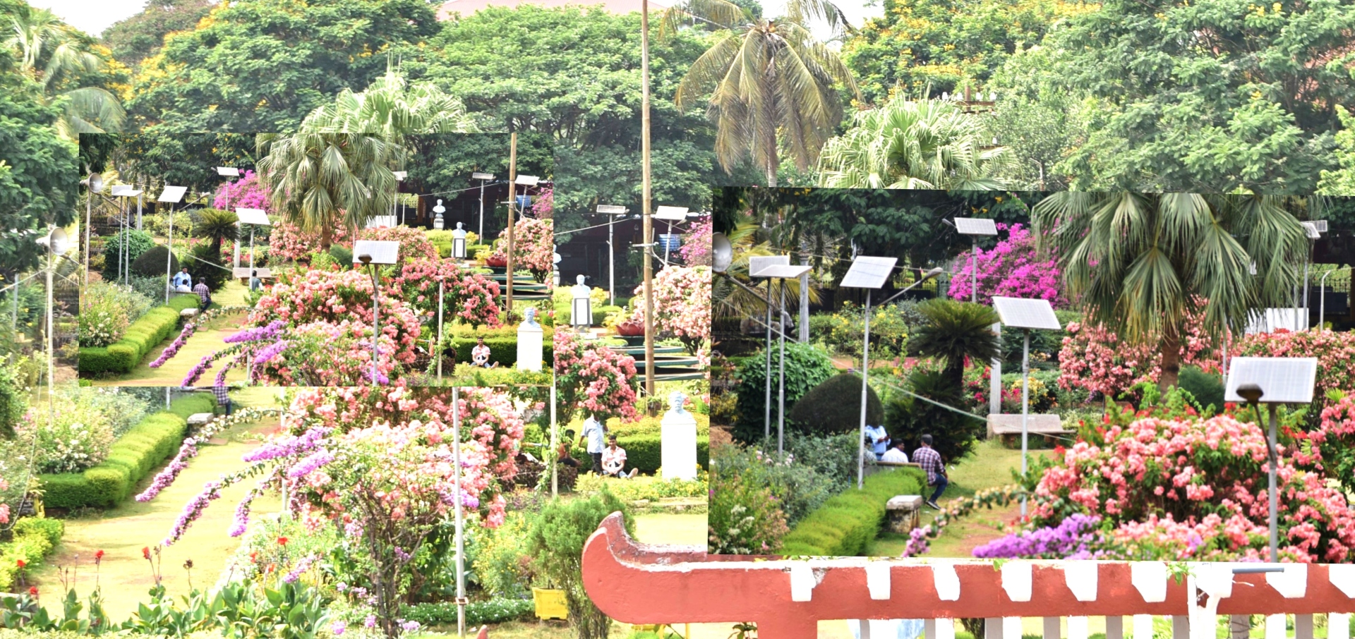 ﻿Defunct solar panels, lamps   stand tall in Margao garden