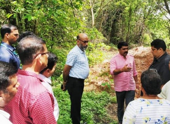 Questions raised over 2019 Urban Forest scheme as govt proposes new scheme