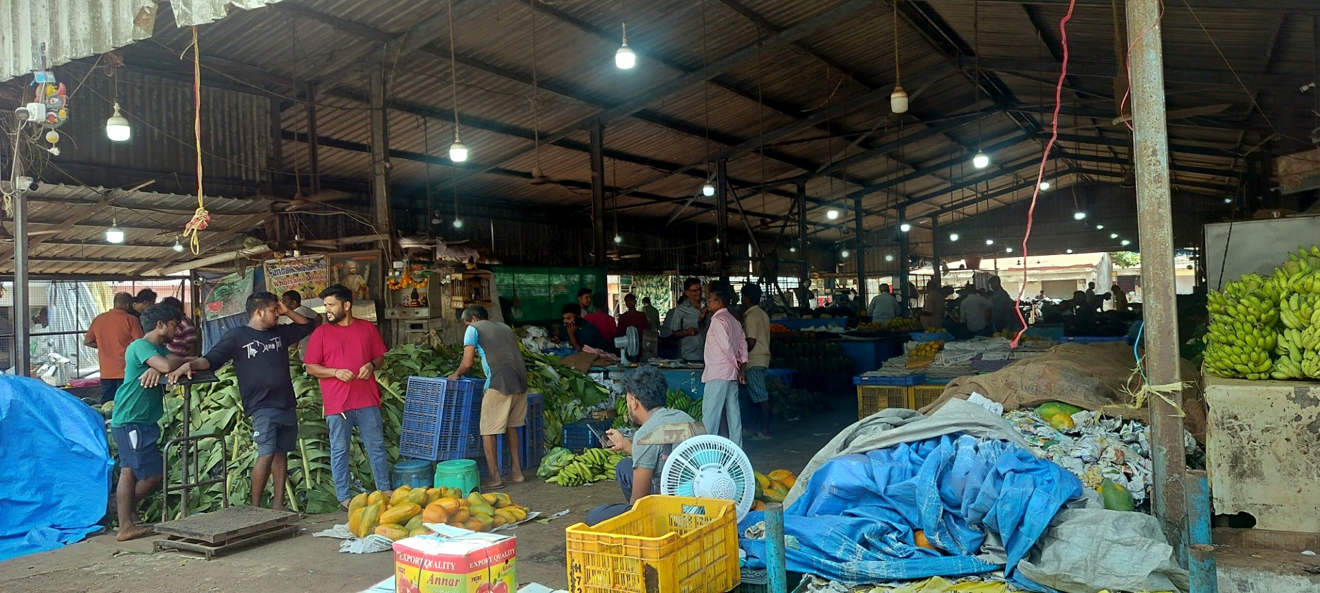 Ripe for change: After crackdown, Mapusa fruit sellers seek knowledge, not penalties