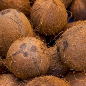 ﻿Multiple reasons for   spike in coconut   prices: Official