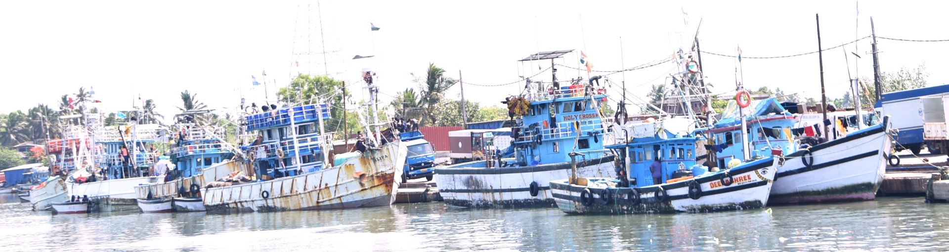 Most fishing vessels at Cutbona bracing   up for last few catches of the season