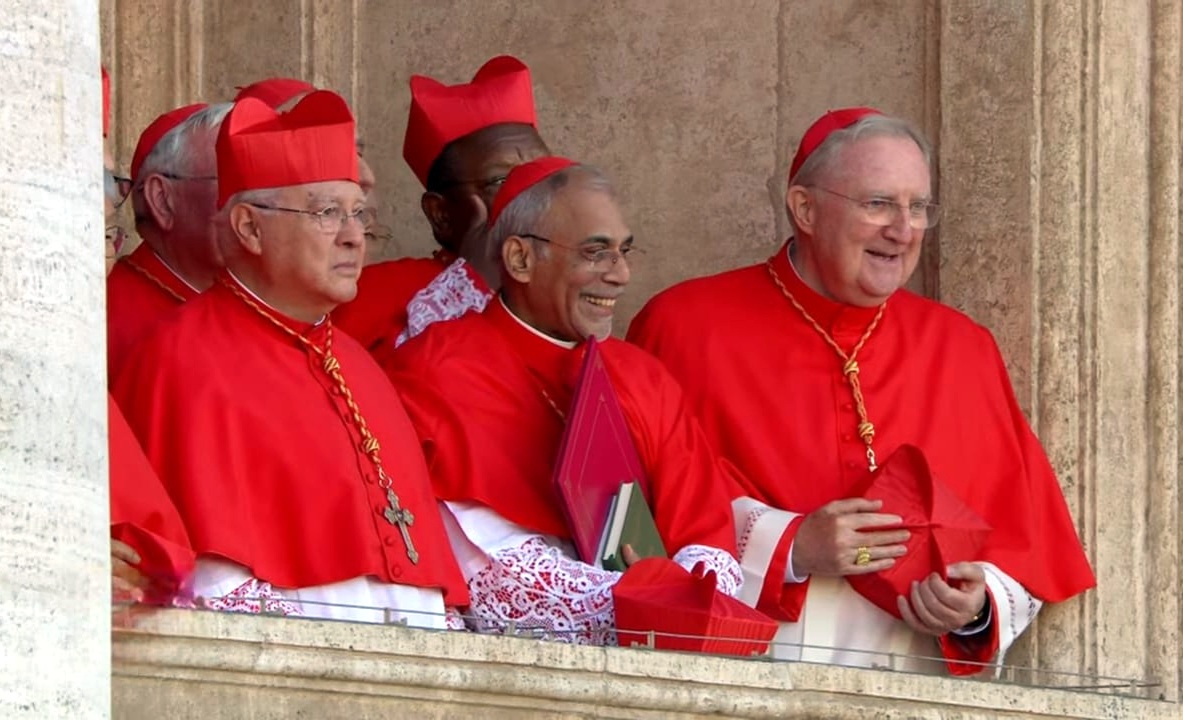 Pope offered framework to address concerns dear to Goans: Cardinal