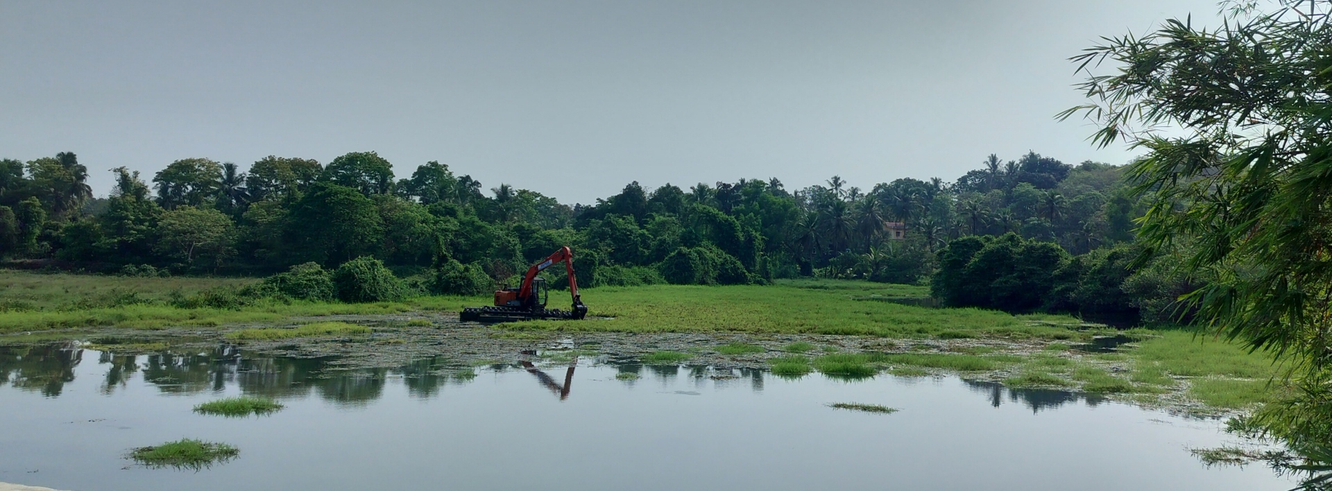 Tillari canal leakage blamed for   Tivim rivulet vegetation surge