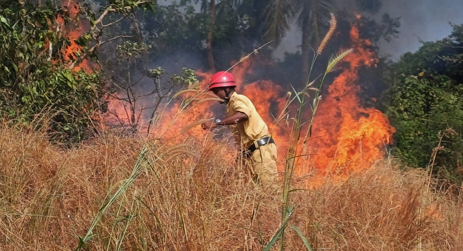 SPOTLIGHT | ﻿Summer fires to rain rescues, Fire Services stretched thin in State