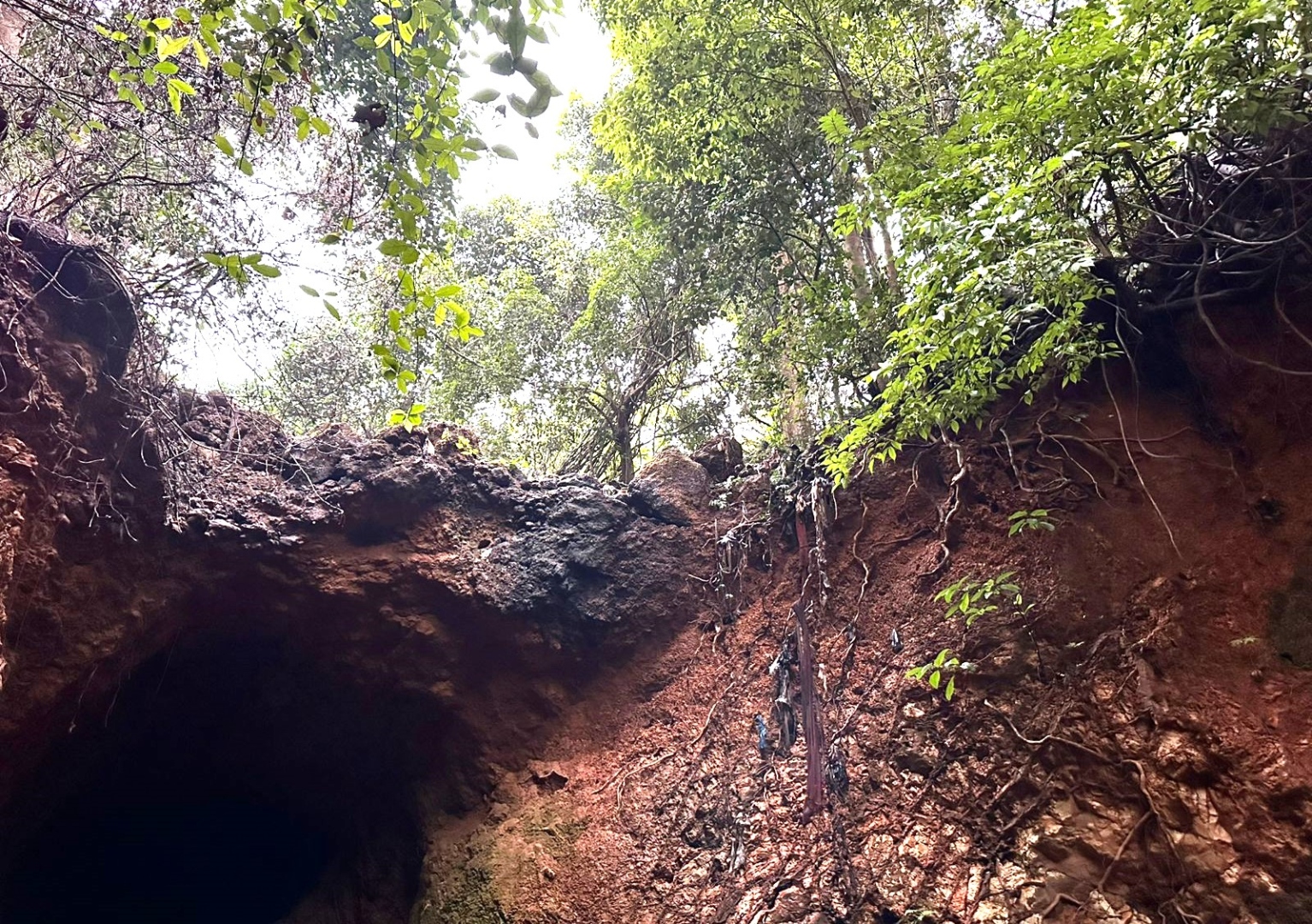 Calls to protect Kesarval Spring