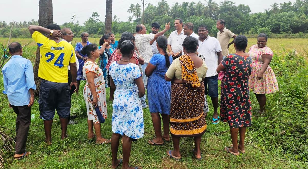 Velim MLA assesses crop damage caused by rains
