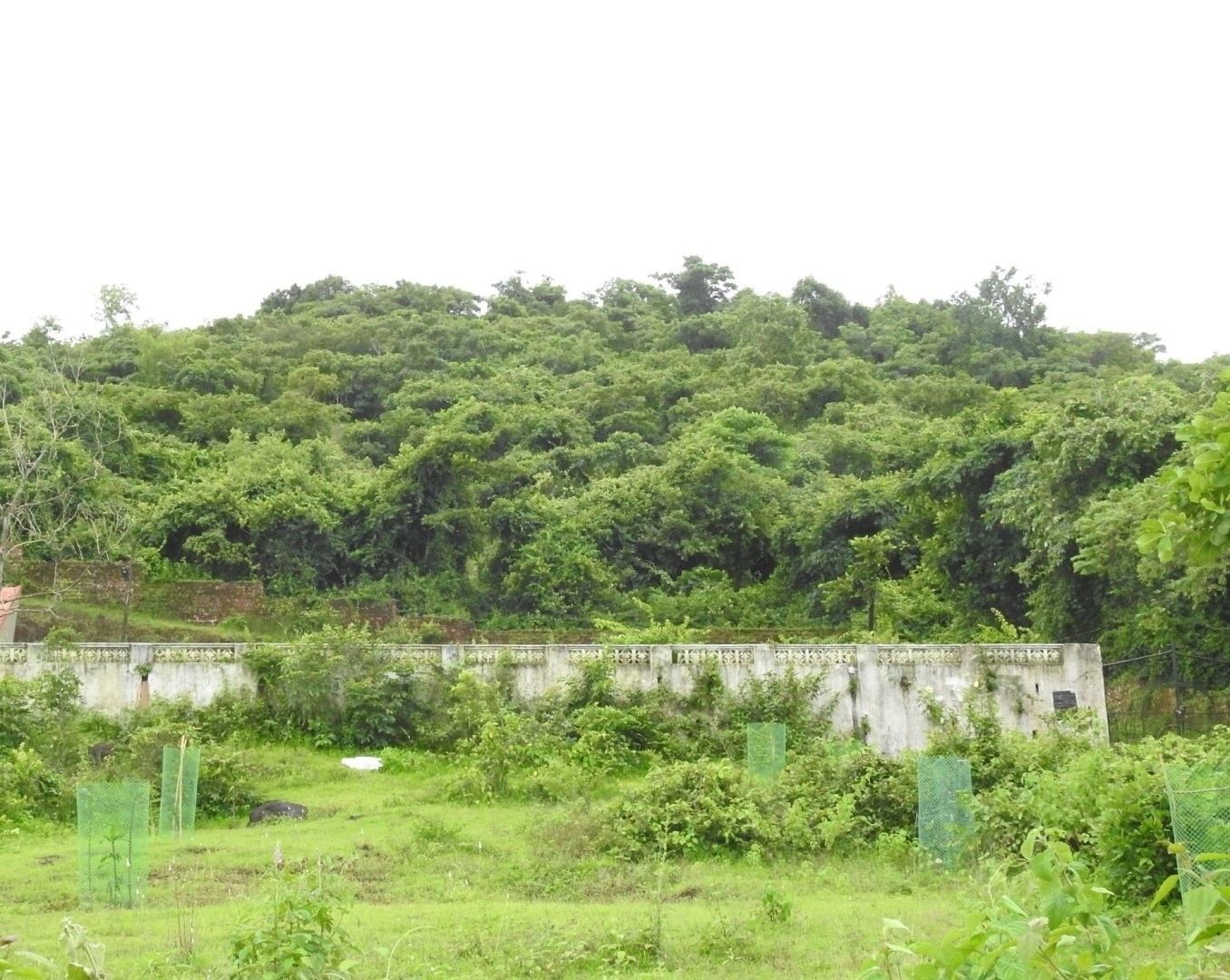 ﻿Margao council approves exchange deed to secure kabrastan access