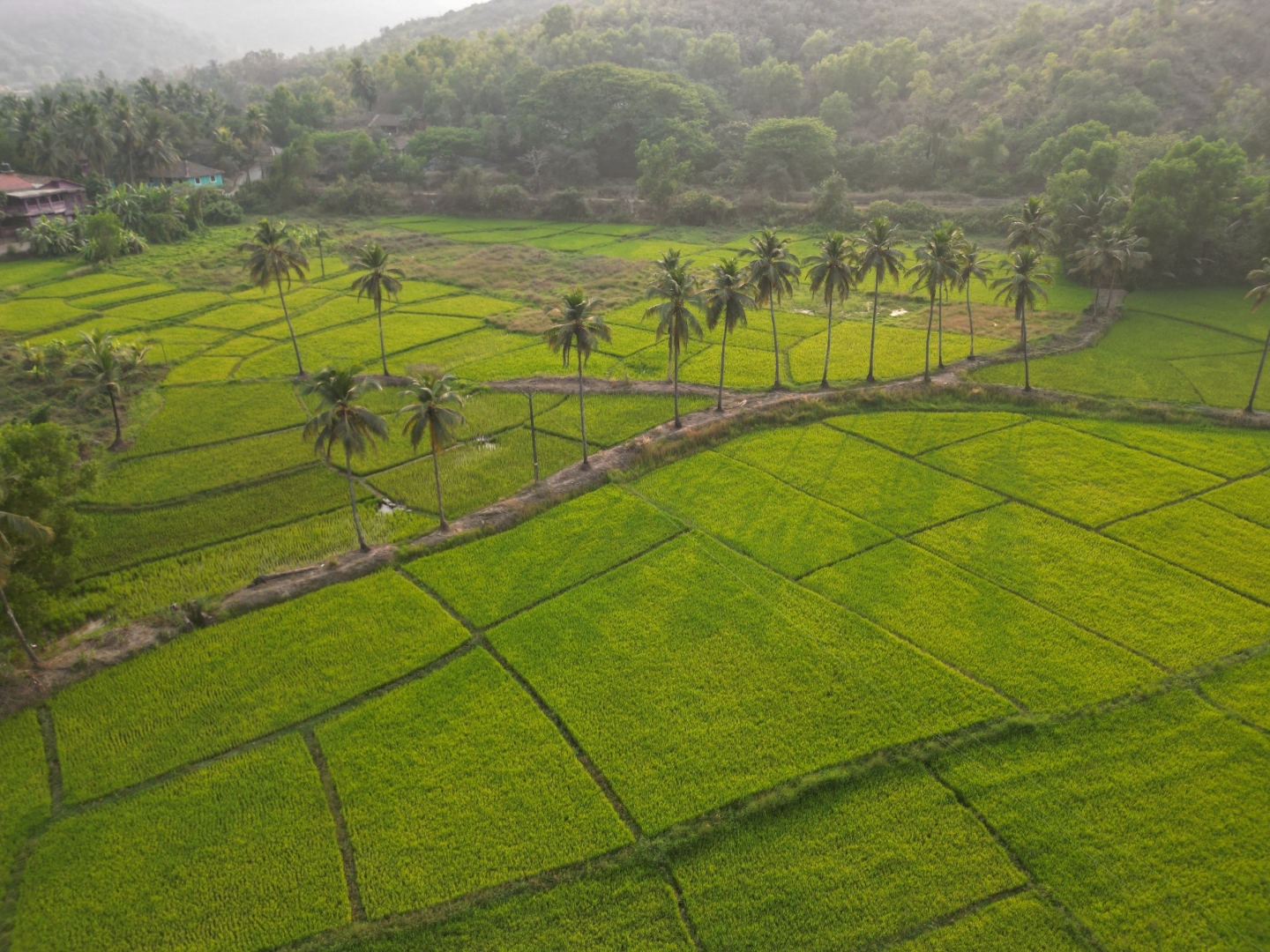 ﻿Goa Tourism launches ‘Glow On Arrival’ campaign