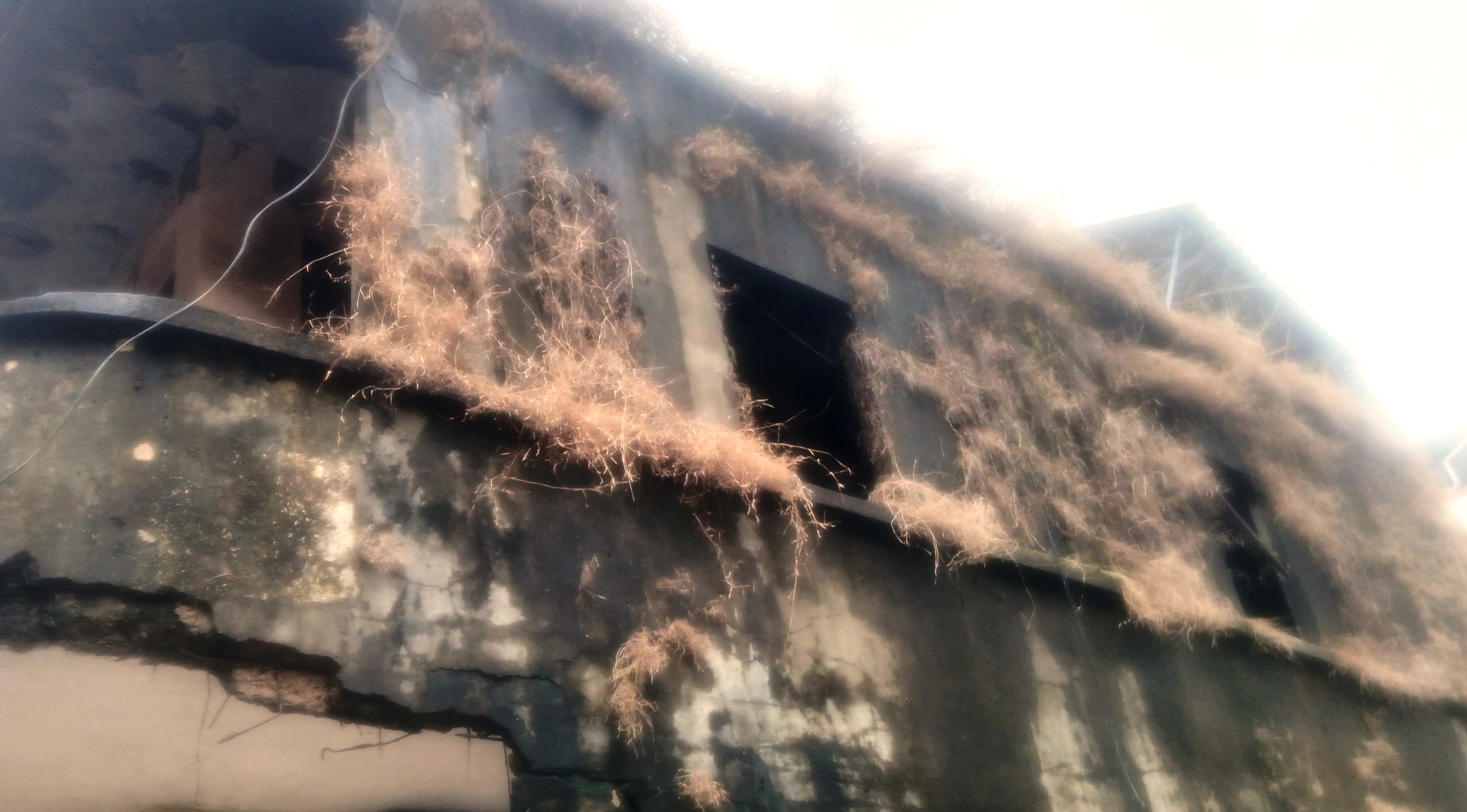 21 dilapidated buildings in Margao face structural review after Collector’s order