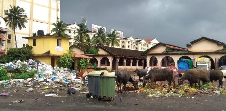 ﻿Garbage pile-up at SGPDA market sparks dispute between authorities