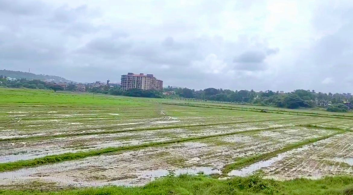Salpem lake farmers set to bring  3L sqm area under cultivation