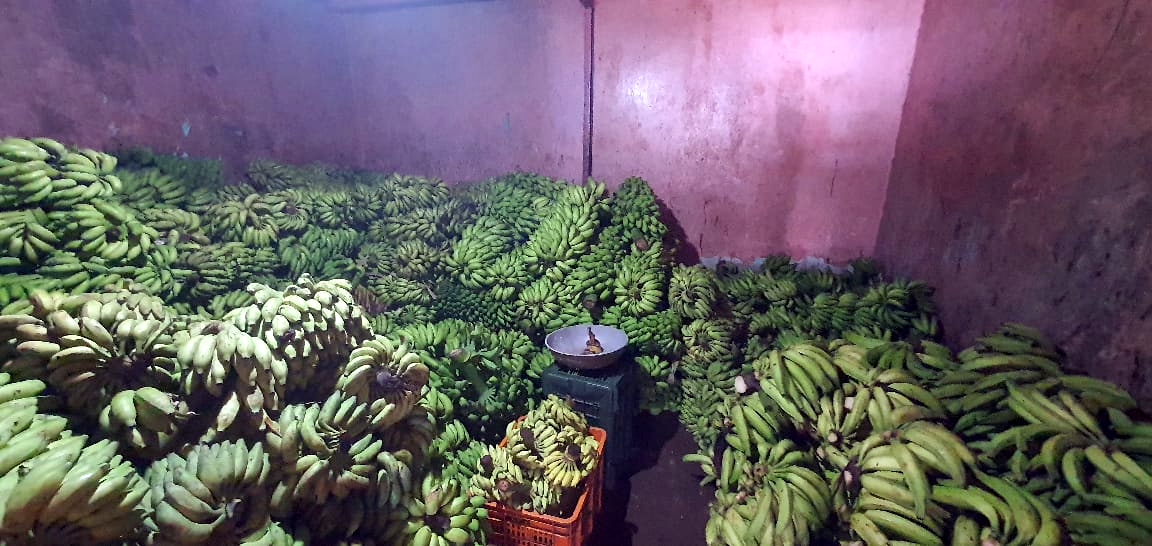 FDA cracks down on illegal food vendors