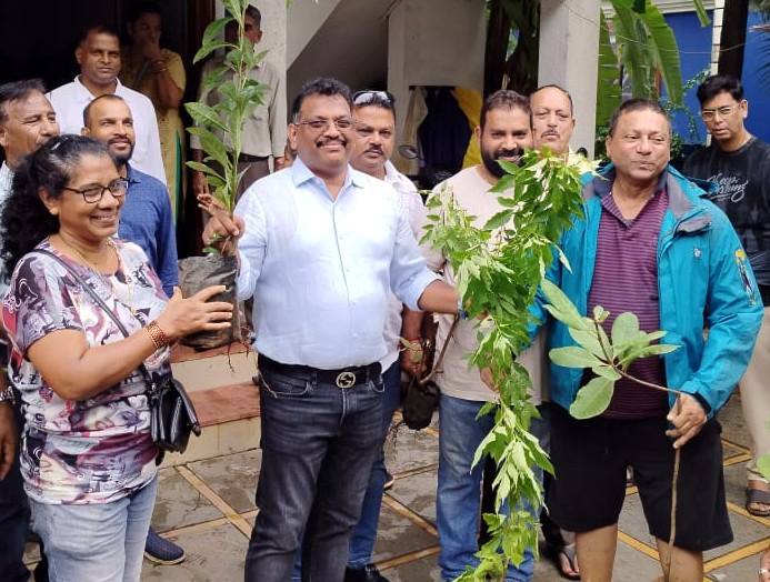 MLA justifies tree cutting, says roads widened for public good