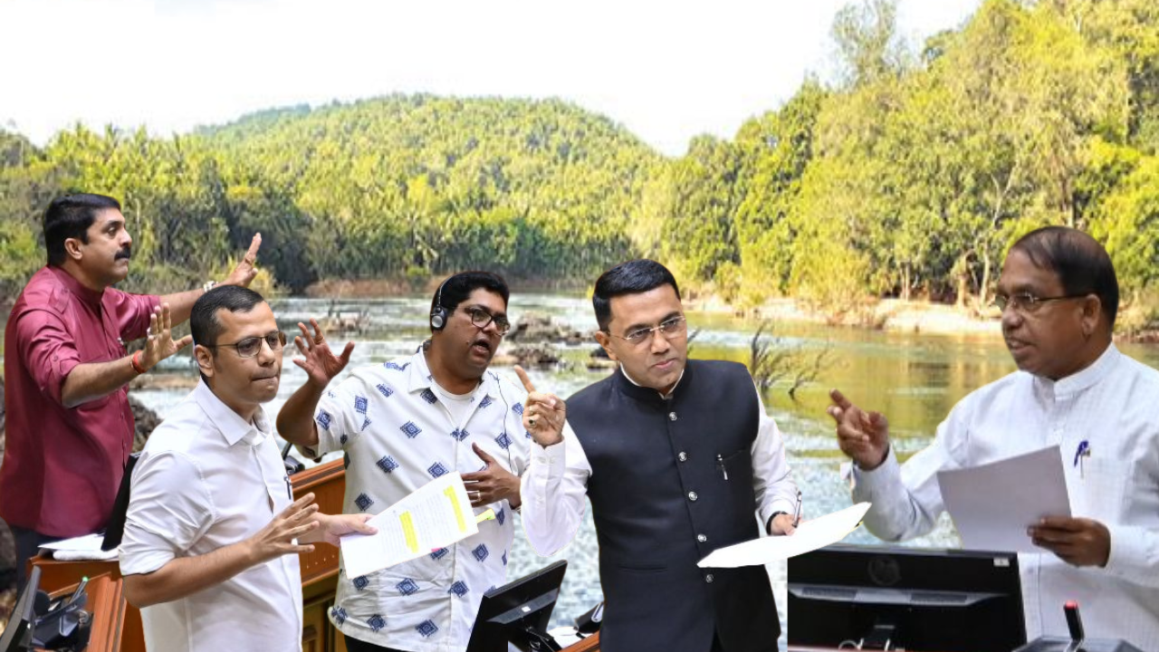 ﻿Karnataka diverting Mhadei within its jurisdiction, Goa cannot intervene: CM