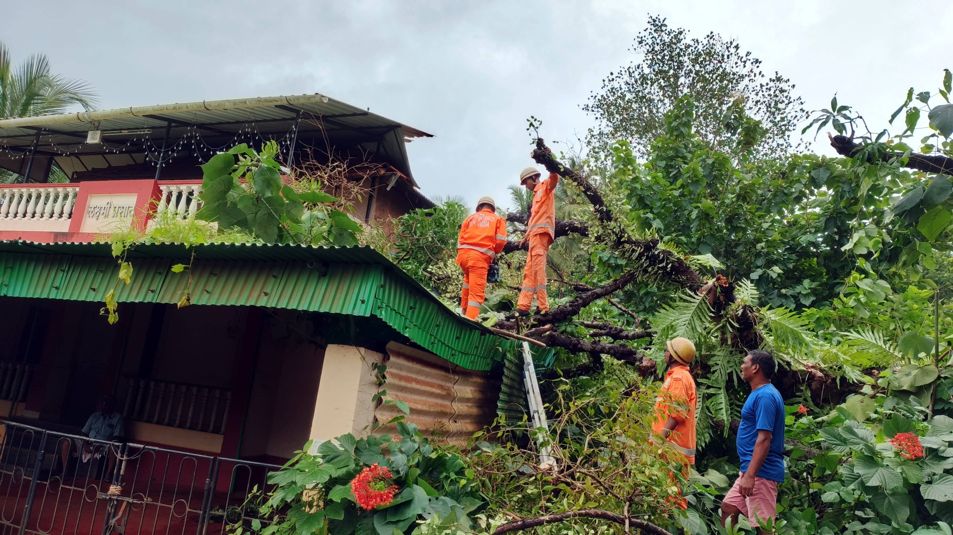 ﻿Three houses damaged in tree  falls as rains lash Bicholim