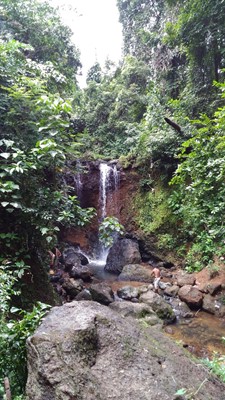 ﻿₹13-crore rejuvenation  for Kesarval spring   amid pollution concerns